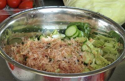 のらねこのおすすめです