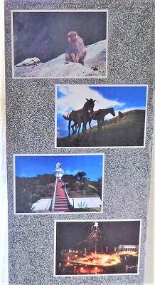 国の天然記念物にもなっています