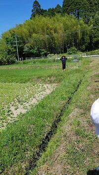 かかしのような?! かかしのような?!