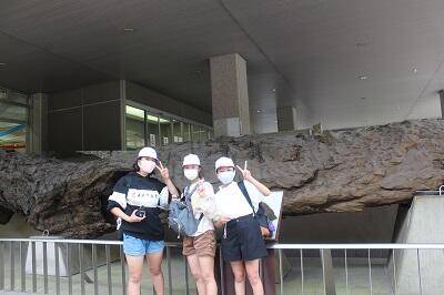 県立博物館です。