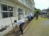 グリーンカーテンの棚