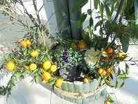 こんな感じです