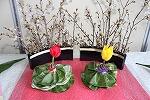 おもてなしの花