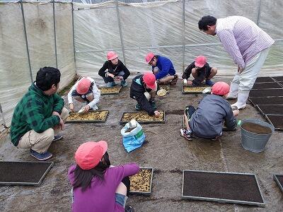 種まきのようす