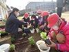 花を植える児童の様子