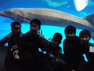 修学旅行の様子