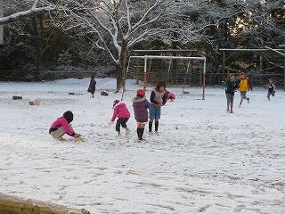 雪の日の様子