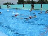 水泳の様子