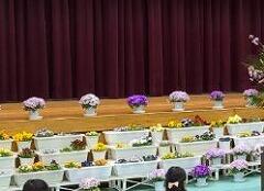 入学式の花飾り