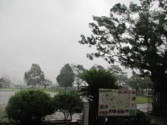 7月3日運動場 7月3日運動場