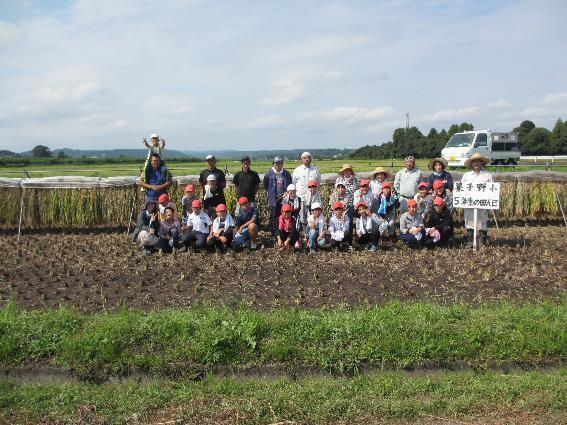 稲刈り集合写真 稲刈り集合写真