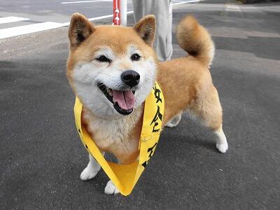 あいこちゃん あいこちゃん