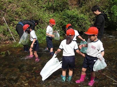 クレソン00 クレソン00