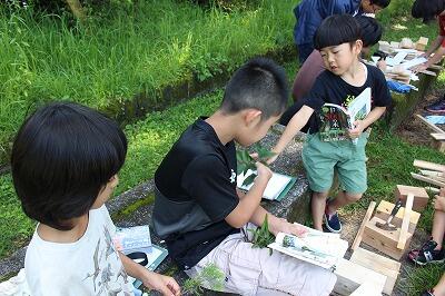 樹木名前調べ 樹木名前調べ