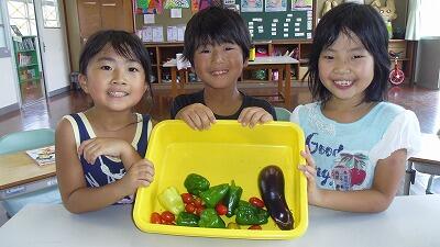 いろいろな野菜が収穫できました！