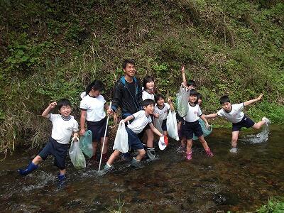 クレソン01 クレソン01