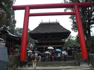 秋の遠足08 秋の遠足08