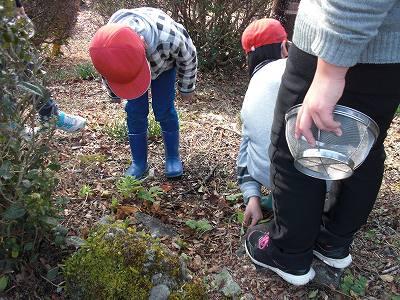 野草教室01 野草教室01