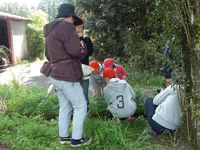 野草教室02 野草教室02