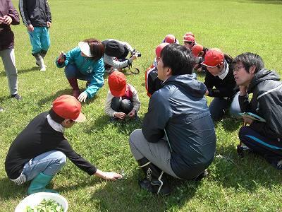 野草教室03 野草教室03