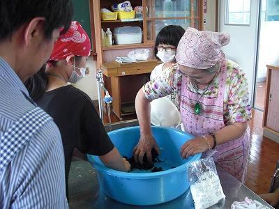 シソ漬け02 シソ漬け02