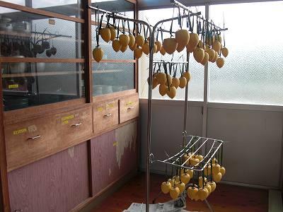 干し柿つくり03 干し柿つくり03