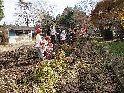 大豆収穫02 大豆収穫02