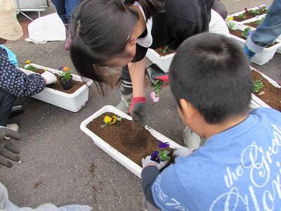 花植え01 花植え01