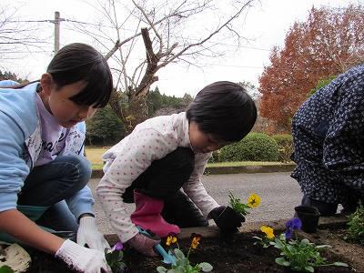花植え02 花植え02