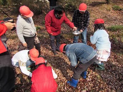 野草教室01 野草教室01