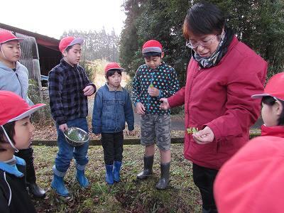 野草教室02 野草教室02