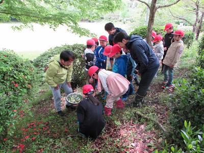 野草教室01 野草教室01