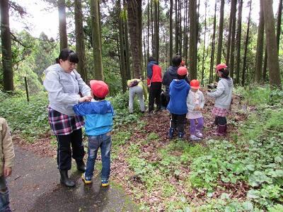 野草教室02 野草教室02