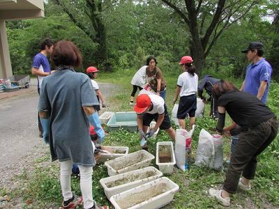 花植え01 花植え01