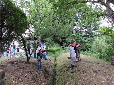 梅ちぎり02 梅ちぎり02