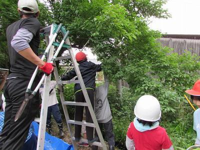 梅ちぎり03 梅ちぎり03