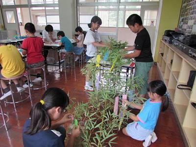 七夕かざり04 七夕かざり04