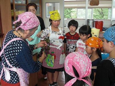 梅シソ01 梅シソ01