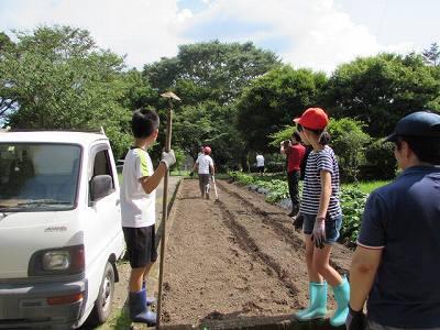 大豆植え02 大豆植え02