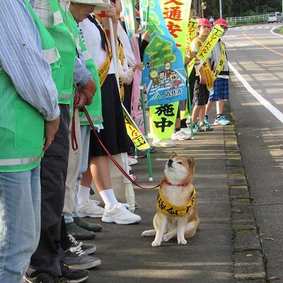 交通安全運動04