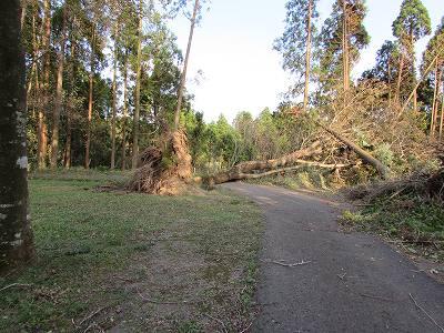 台風被害01 台風被害01