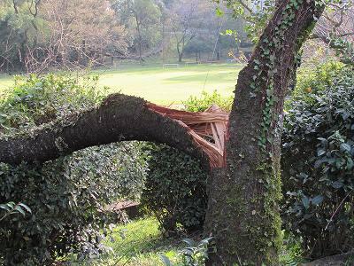 台風被害02