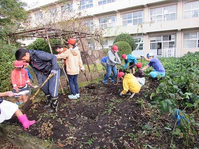 落花生02 落花生02