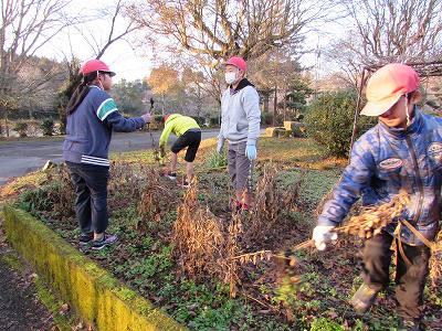 大豆収穫01 大豆収穫01