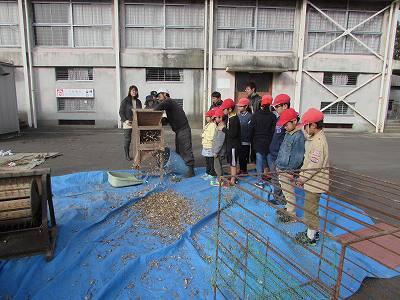 大豆収穫03 大豆収穫03