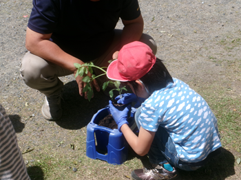 林さんから教えてもらいながら