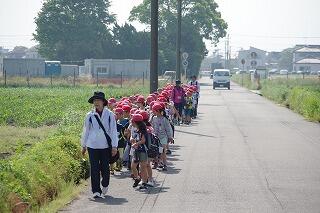 遠足の様子