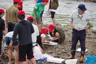 水辺の生物調査の様子