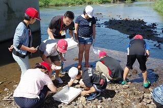 水生生物さがし