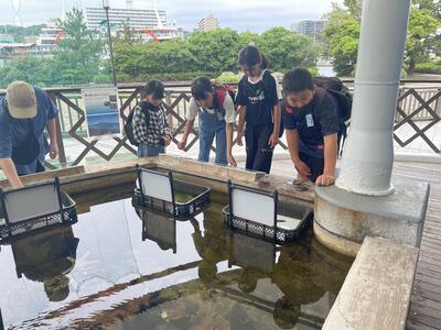 さわってみようかな